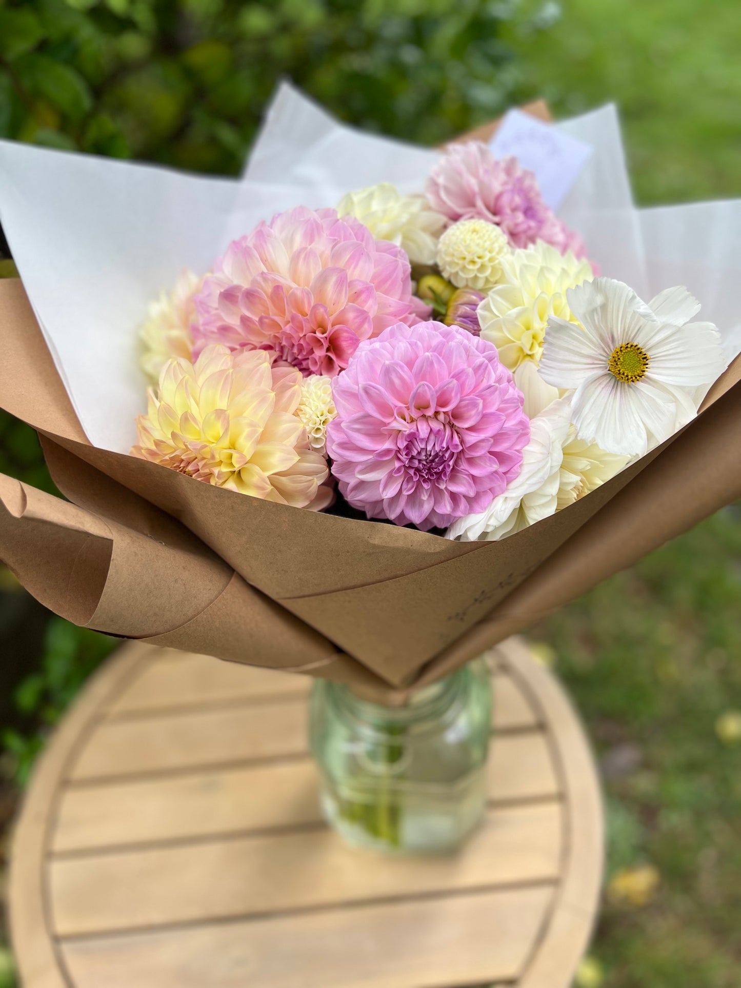 Dahlia Posies