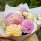 Dahlia Posies