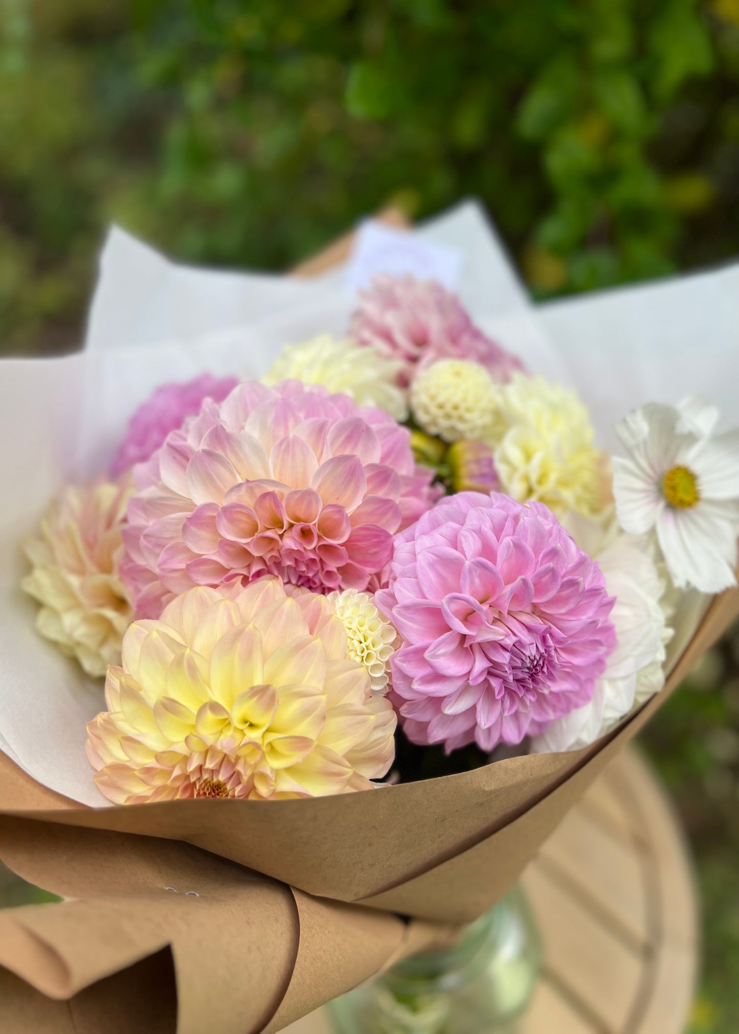 Dahlia Posies
