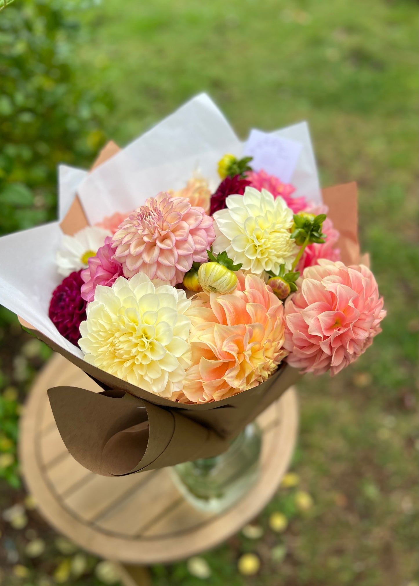 Dahlia Posies