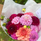Dahlia Posies